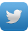 Sguenos en Twitter
